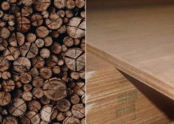 Wood furniture or plywood - Confused?